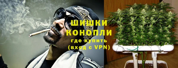 амф Аркадак