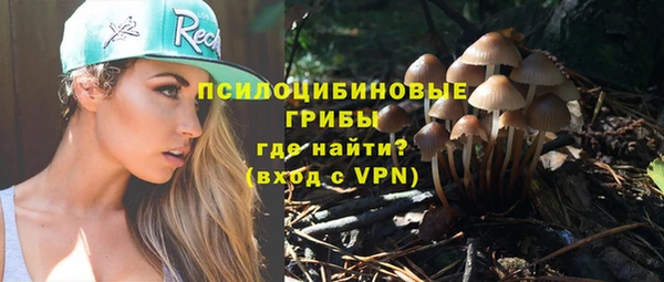 ешки Арсеньев